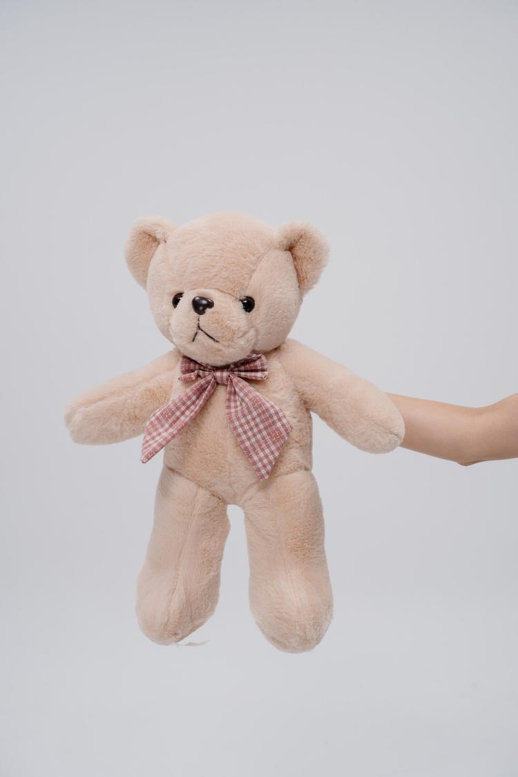 Плюшевый мишка