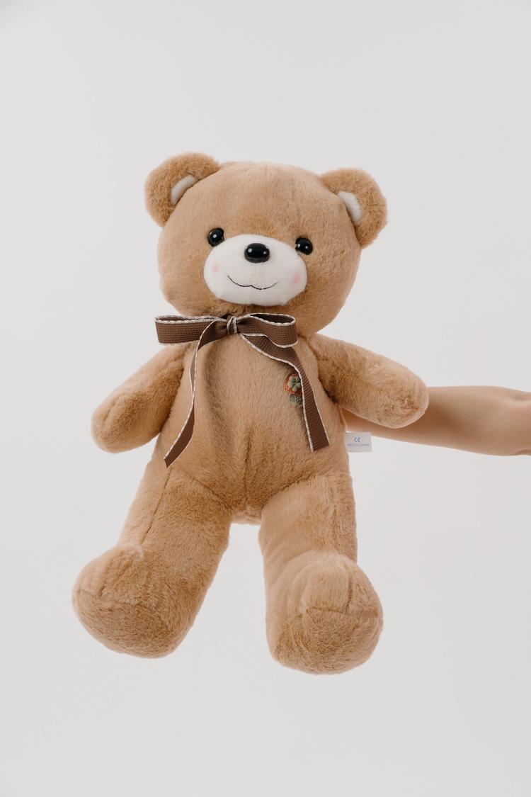 Плюшевый дружок - милый мишка