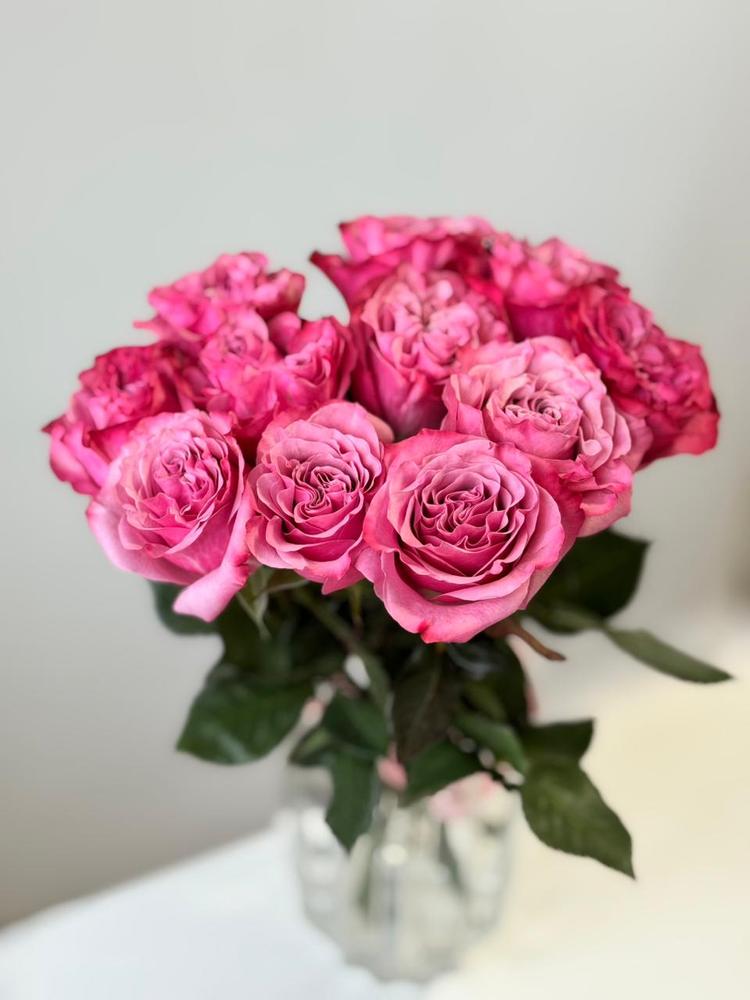 Пионовидная голландская роза