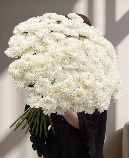 Хризантема кустовая